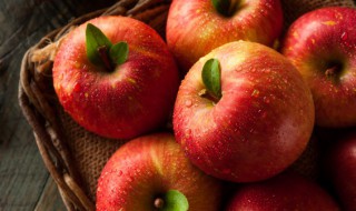 苹果是哪个城市的地方特产（苹果是哪里的特产?）
