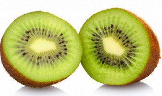 猕猴桃最好的产地是哪里 猕猴桃产地最好