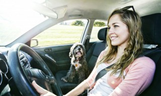 副驾驶怎么调座椅（比亚迪副驾驶怎么调座椅）