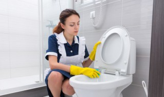 购买马桶垫的注意事项有哪些 千万不要用马桶垫