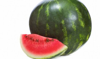 石头瓜为什么叫石头瓜（石头瓜是哪里的）