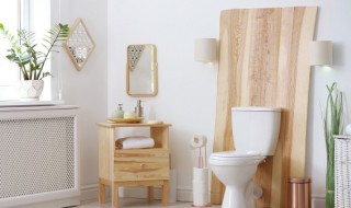 马桶选购注意事项有哪些 怎么选马桶,应注意什么