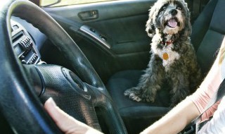 汽车空调有异味是什么原因（汽车空调有异味是什么原因怎么解决）