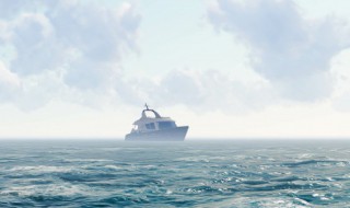 世界上哪个海洋最大（世界上最大的海洋是什么样）