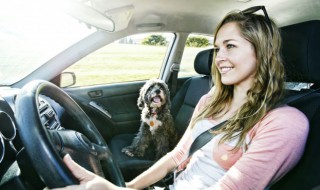 怎么查驾驶证的分 怎么查驾驶证的分是什么时候扣的