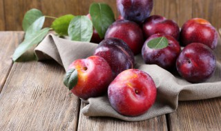 送李子代表什么意思（送李子的寓意是什么意思）