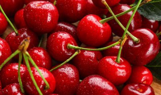 车厘子spd代表什么（车厘子spd是多大）