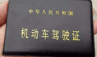 怎么可以查驾驶证的分 怎么查查驾驶证分