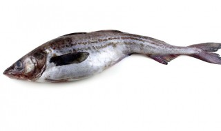 黑龙江有什么特产 黑龙江有什么特产好吃的