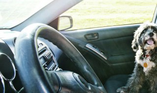 汽车保养有哪些项目 4s店做汽车保养有哪些项目