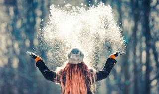 雪花的象征意义（树和天空中雪花的象征意义）