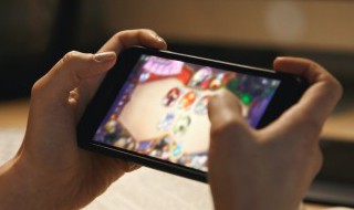 七星龙珠哪个公司的（七星龙珠官方）