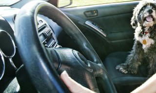 汽车导航的安装方法（汽车导航怎么安装图解法）