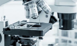 显微镜使用的基本常识都包括哪些 显微镜使用的基本常识都包括哪些部分