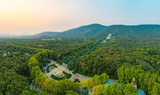 南京紫金山爬山有哪些路线(南京紫金山爬山路线全攻略)