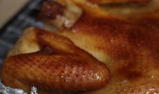 土窑鸡是哪里特产（窑鸡是哪里的特产）