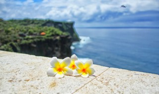 洪山区景点 洪山风景区在哪