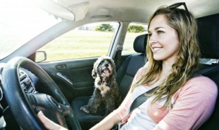 春节开车祝福语大全（新年祝福开车平安的话）