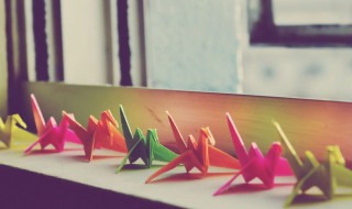 千纸鹤的寓意是什么 千纸鹤的寓意是什么意思