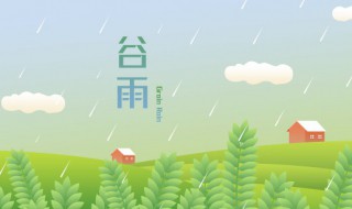 谷雨可以吃羊肉吗 雨天吃羊肉