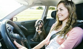 驾驶证可以提前年审吗（驾驶证可以提前年审吗还差十天）