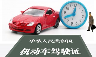 怎么查驾驶证号（驾驶证掉了怎么查驾驶证号）