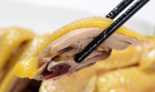 怎样蒸出来的鸡才会嫩滑呢（鸡要怎么蒸才又嫩又滑）