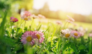 适合永久做昵称的名字 用名字做网名