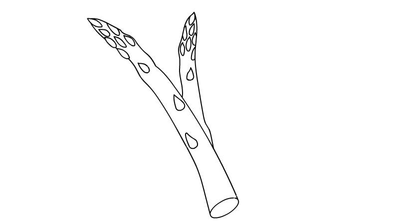 芦笋简笔画