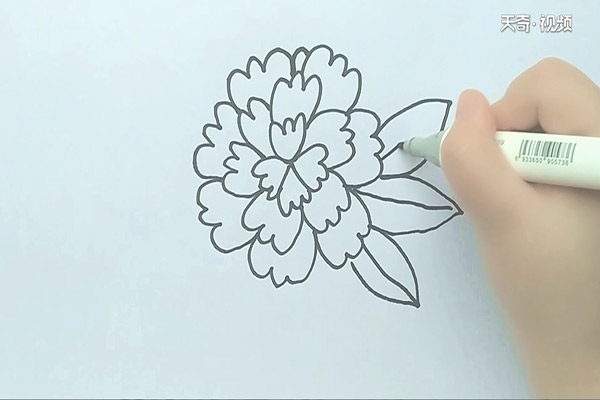 花的简笔画