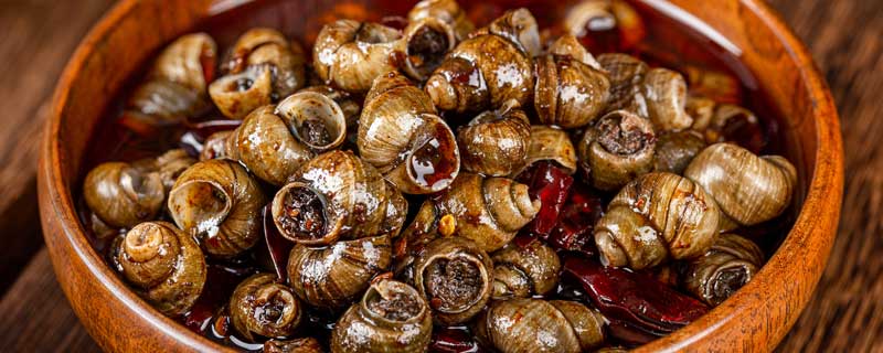 明前螺蛳赛肥鹅的下一句