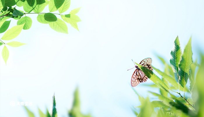 三月残花落更开小檐日日燕飞来诗意