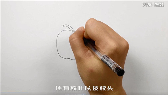 西红柿简笔画