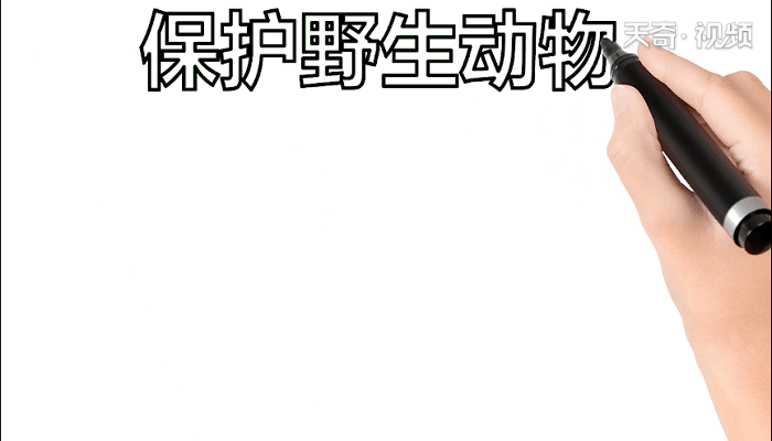 爱护野生动物手抄报