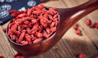 红枣枸杞水怎么煮 红枣枸杞水怎么煮窍门