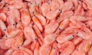 虾干放冷藏还是冷冻可以存放的更久（虾干应该冷冻还是冷藏储存）