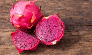 火龙果盆栽长大怎么办 火龙果种出来的盆栽