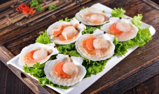 扇贝怎么清洗干净 扇贝怎么样清洗