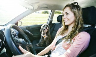 怎么查驾驶证违章记录（怎么查驾驶证违章记录查询）