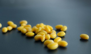 黄豆叶子发黄怎么治 黄豆黄叶是怎么回事