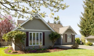 屋顶发霉怎么处理（屋顶发霉怎么处理房东怎么赔偿）