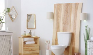 卫生间发霉怎么处理（卫生间发霉怎么处理方法）