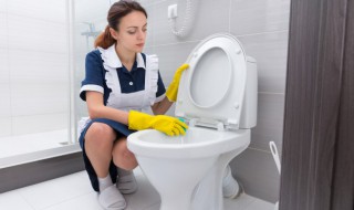 马桶发霉怎么办小窍门 马桶周围发霉,怎样去除