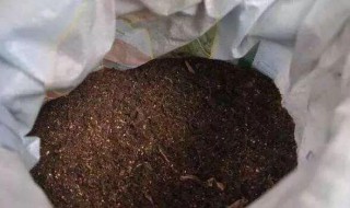 盆栽的土里有虫怎么办（盆栽土里有虫卵怎么办）