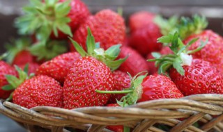 家里盆栽草莓怎么养（家里种草莓怎么养）