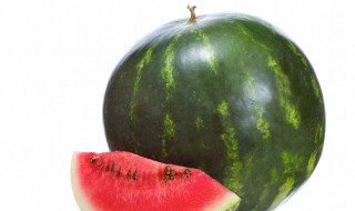 西瓜叶子有黑点怎么办 西瓜叶子有黑点是什么病