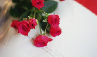 玫瑰花枯萎了怎么救活（水养玫瑰花枯萎了怎么救活）