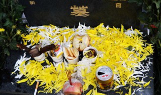 清明说说看哭了的话 清明悲伤说说