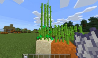 迷你世界甘蔗怎么种植（迷你世界 甘蔗）