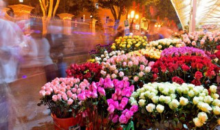 玫瑰花水养怎么养不蔫（怎么养玫瑰花不容易枯萎水里放什么）